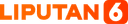 Media Logo